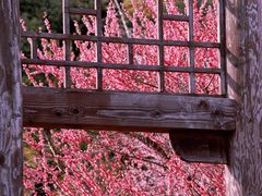 -苏州上方山国家森林公园