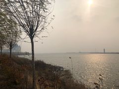 -呼兰河口湿地公园