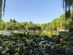 -丰台花园