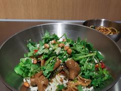 烧椒肥肠面-味研所·麵