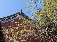 -钱王祠
