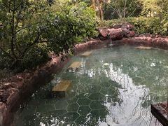 -苏州湾王焰温泉度假酒店