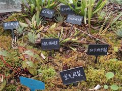 -石家庄市植物园