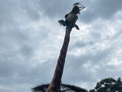 -沈阳森林动物园