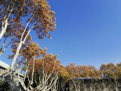-东南大学（四牌楼校区）体育馆