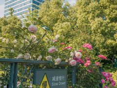 -丹东路渡口(轮渡站)
