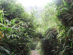 -水濂山森林公园