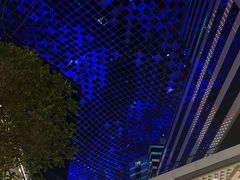 -Tims天好咖啡·贝果(拉斐尔云廊店)