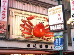 -蟹道乐(道顿堀本店)