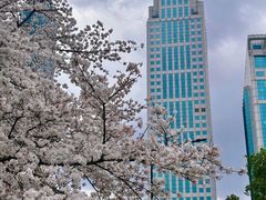 -西北湖绿化广场