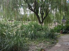 -成都市活水公园