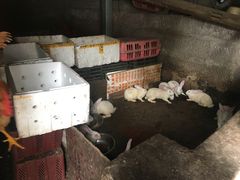 -陈有良尖椒鸡(江津总店)