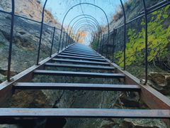 -玉泉威虎山森林公园