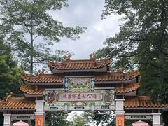 -广州市流溪河国家森林公园