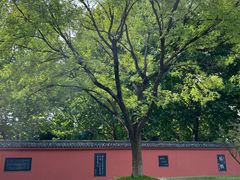 -百脉泉景区