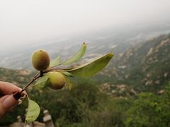 -北京凤凰岭