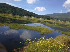 -腾冲北海湿地
