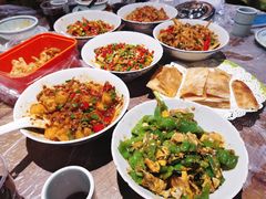 鸭掌筋-壹盏灯(惠农店)