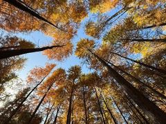 -敬亭山风景名胜区