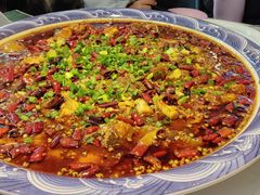 -新概念来凤鱼(璧山店)