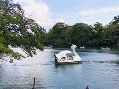 -井之头恩赐公园