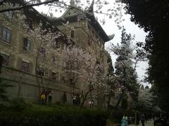 -武汉大学-樱园