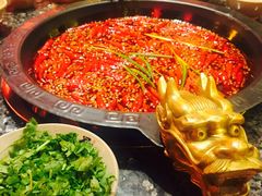 -蜀大侠火锅(建设路第五大道店)