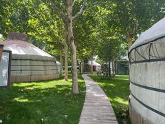 -九十九顶毡房(阜石路店)