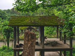 -中国大熊猫保护研究中心雅安碧峰峡基地