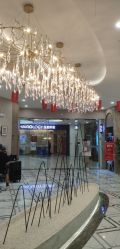 -LANGCHAO·浪潮黑鲸店