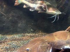 -太平洋海底世界