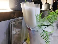 -探窝·竹笙椰子鸡(杨箕店)