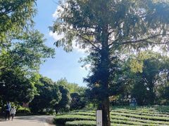 -敬亭山风景名胜区