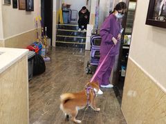 -宠爱国际动物医院·消化内科·心肾内科·ISFM猫友好(望京店)
