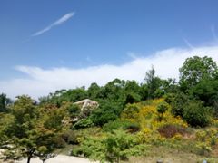 -冶山国家矿山公园