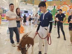 -凯德广场(西城店)