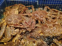 -东海怡品海鲜豆捞(星街坊店)