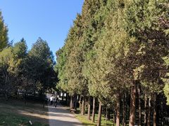 -元大都城垣遗址公园