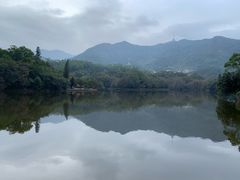 -深圳仙湖植物园