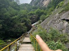 -青峰峡国家森林公园