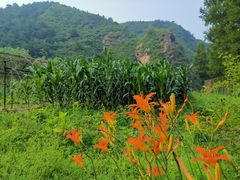 -仙居谷风景区