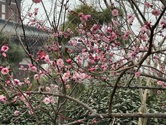 -西安华清御汤酒店