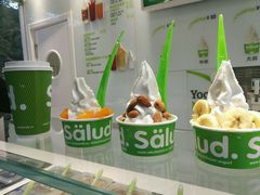 -Salud撒露欧洲冻酸奶(798艺术区店)