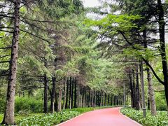 -长春市南湖公园