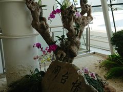 -厦门五通客运码头