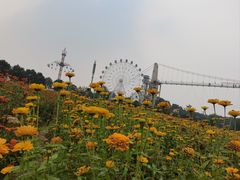 -花博汇(知音花月夜)
