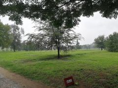 -汉长安城未央宫国家考古遗址公园