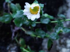-张家界天门山国家森林公园