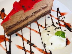 -飞行喵MR PILOT|猫舍·猫咖(静安大融城店)