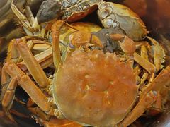 -得鑫源自助火锅烤肉店(哥伦布广场店)